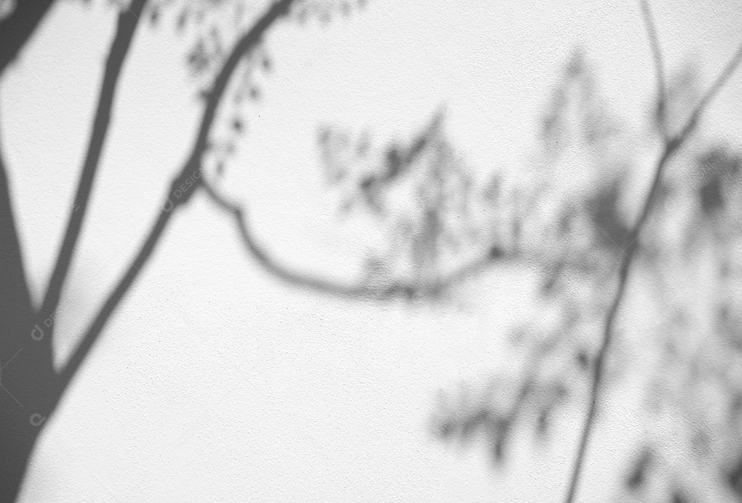 Deixa a sobreposição de sombra natural no fundo de textura branca