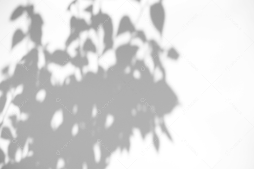 Deixa a sobreposição de sombra natural no fundo de textura branca