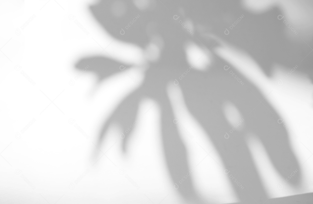 Sobreposição de sombra de folhas naturais no fundo de textura branca