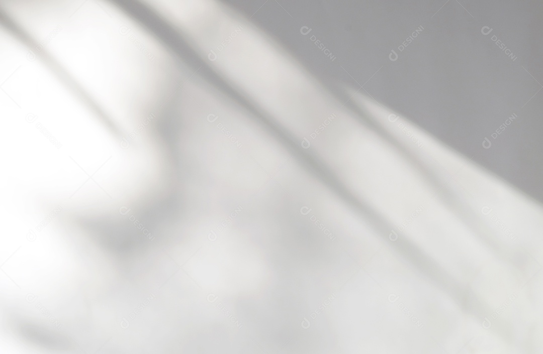 Deixa a sobreposição de sombra natural no fundo de textura branca