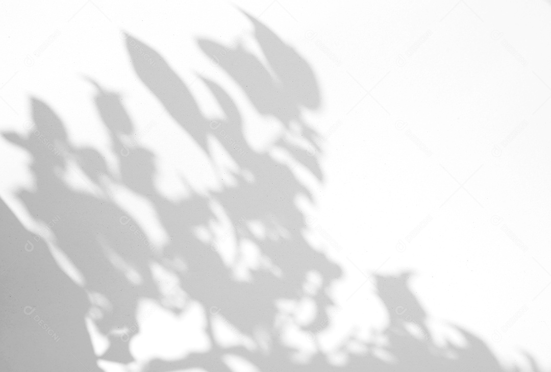 Deixa a sobreposição de sombra natural no fundo de textura branca