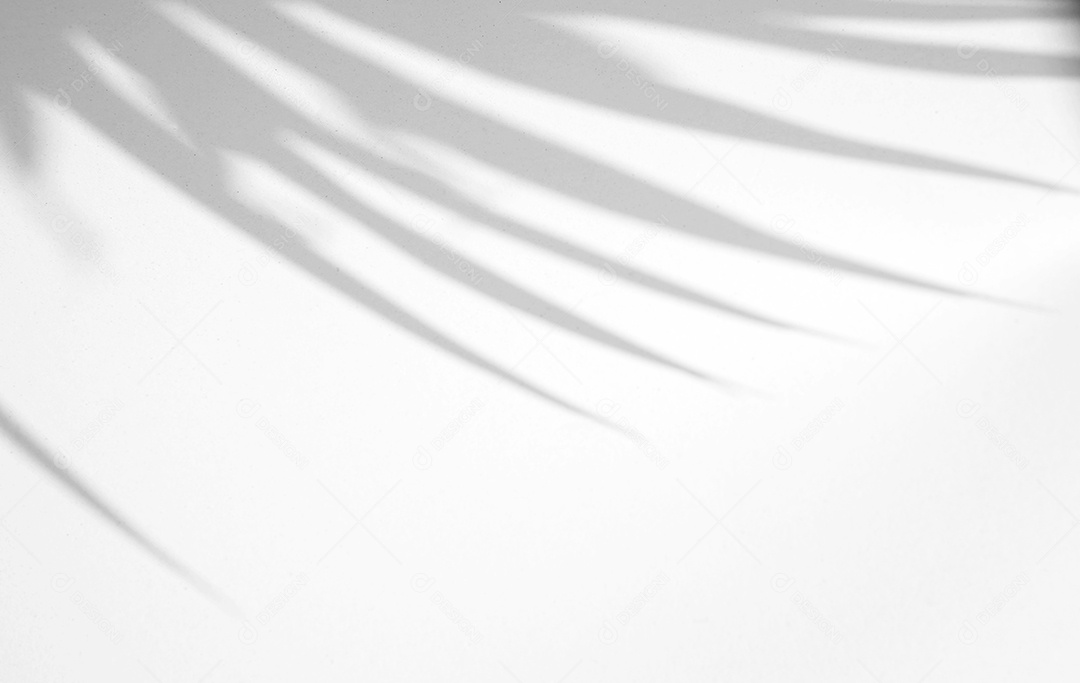 Realista e orgânico deixa efeito de sobreposição de sombra natural