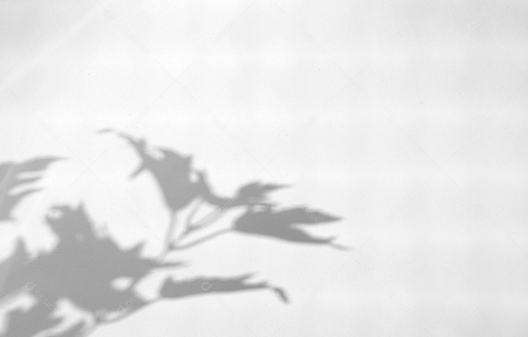 Realista deixa efeito de sobreposição de sombra natural na textura branca