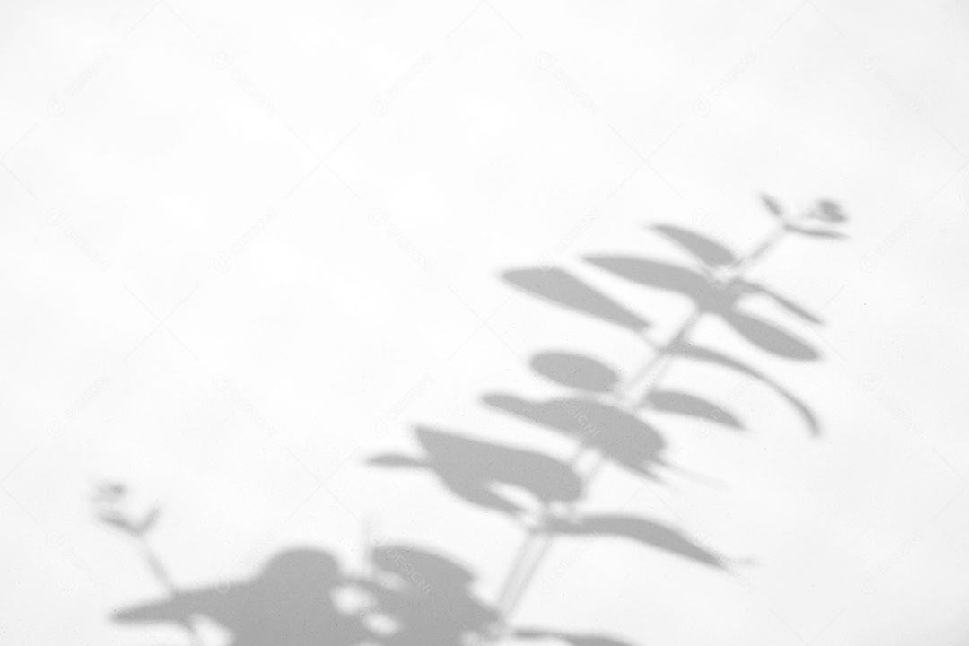 Deixa o efeito de sobreposição de sombra natural no fundo de textura branca