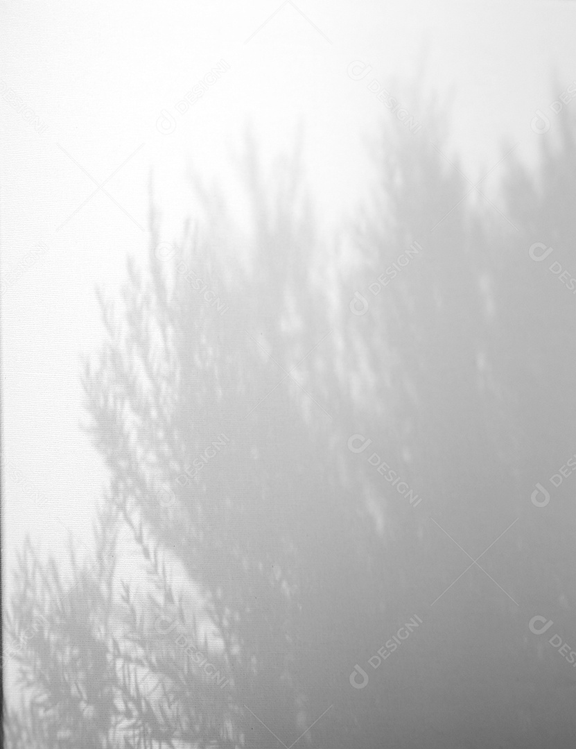 Deixa a sobreposição de sombra natural no fundo de textura branca