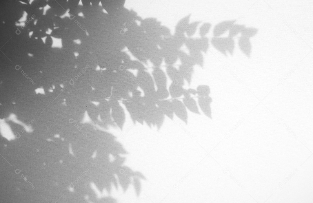 Deixa a sobreposição de sombra natural no fundo de textura branca