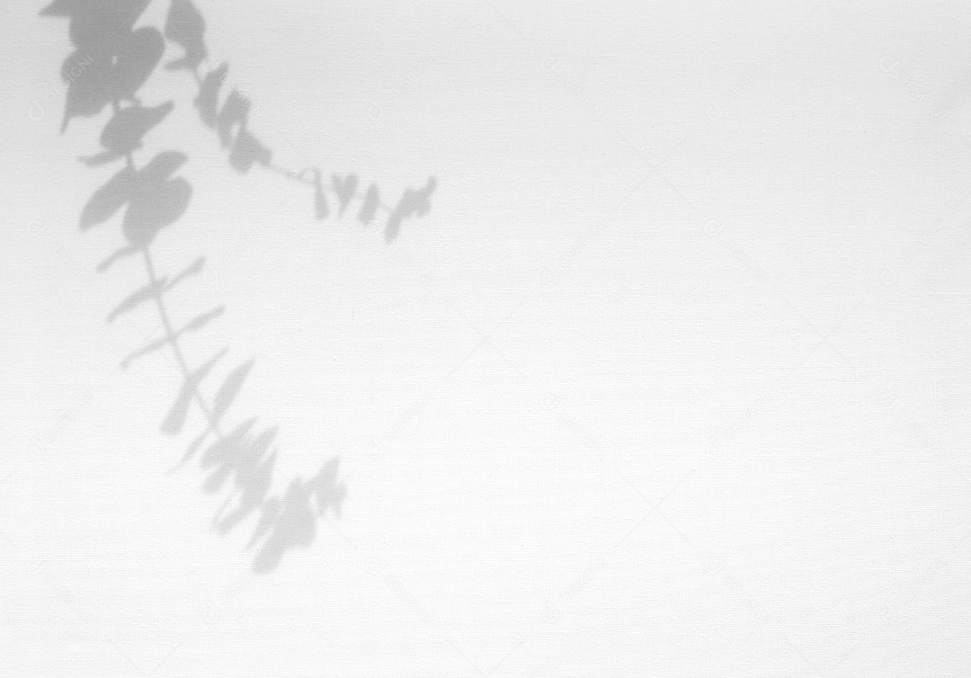 Deixa a sobreposição de sombra natural no fundo de textura branca