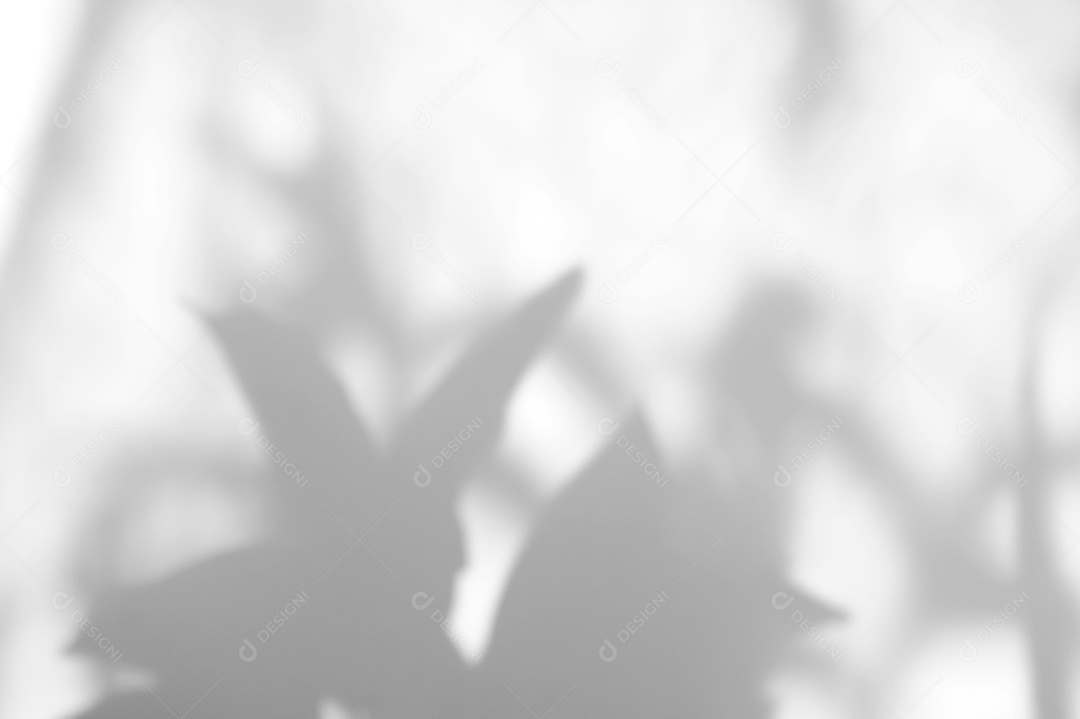 Deixa a sobreposição de sombra natural no fundo de textura branca