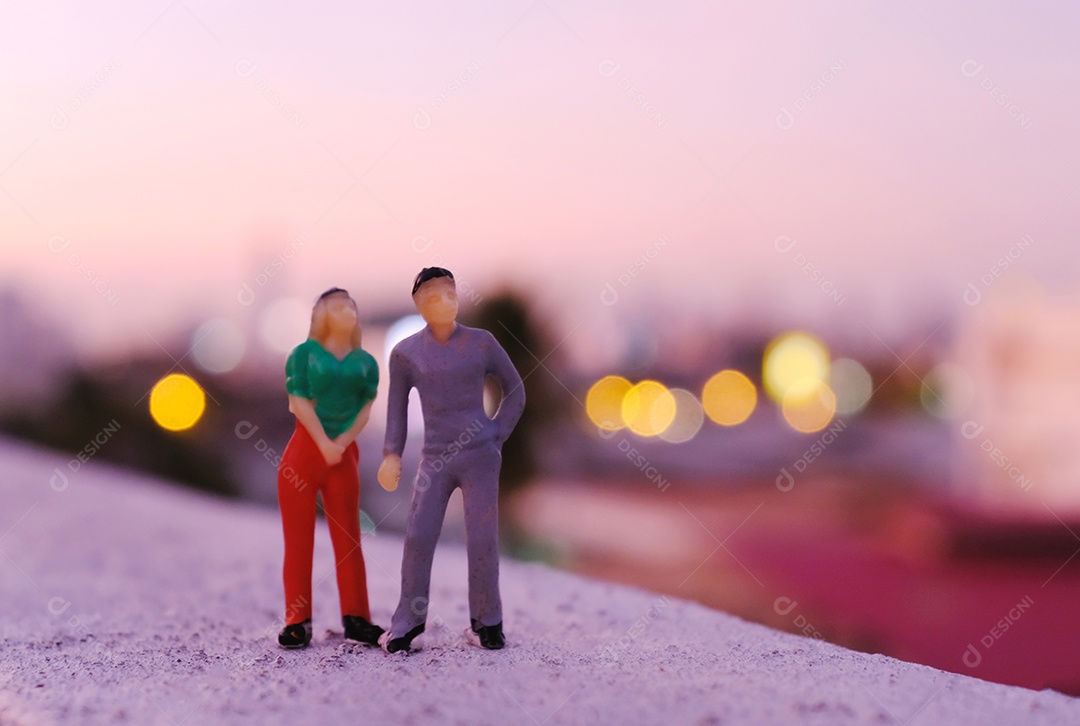 Um casal em miniatura fica parado no telhado vendo o pôr do sol