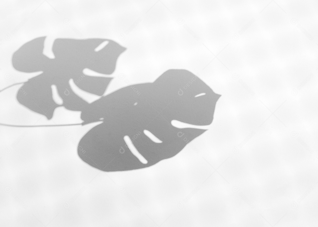 A palma deixa a sobreposição natural da sombra para o verão na textura branca