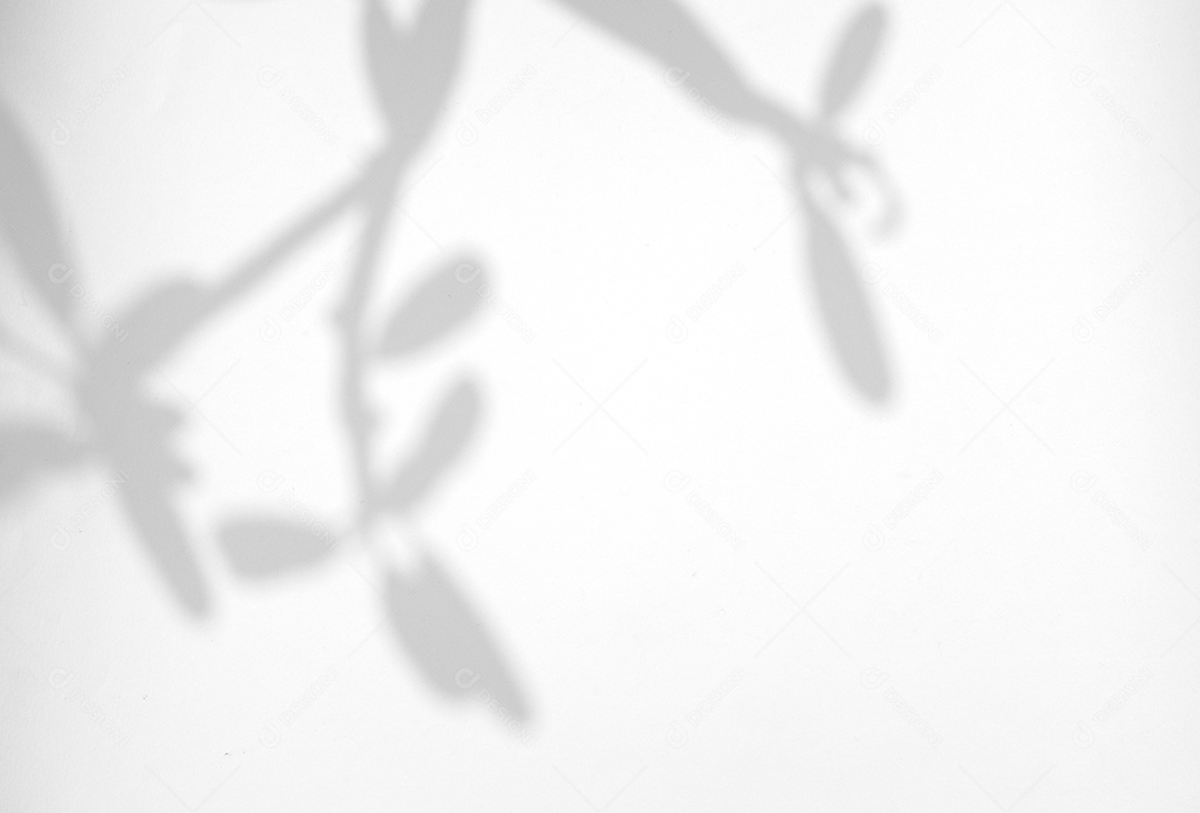 Deixa a sobreposição de sombra natural no fundo de textura branca