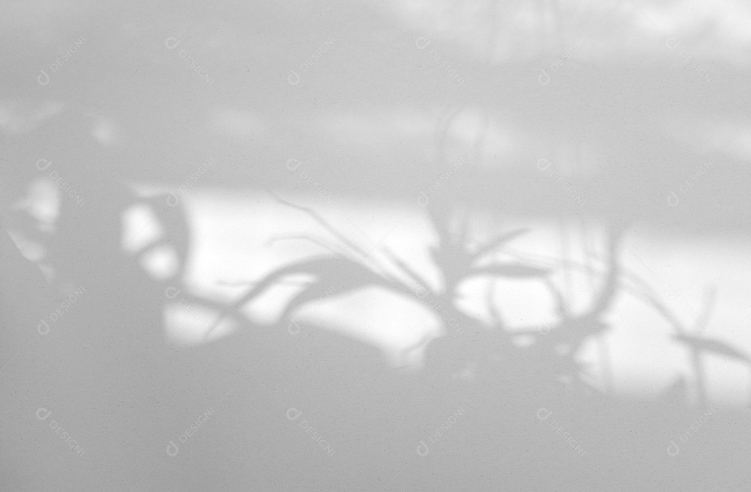 Efeito de sobreposição de sombra natural da janela no fundo de textura branca