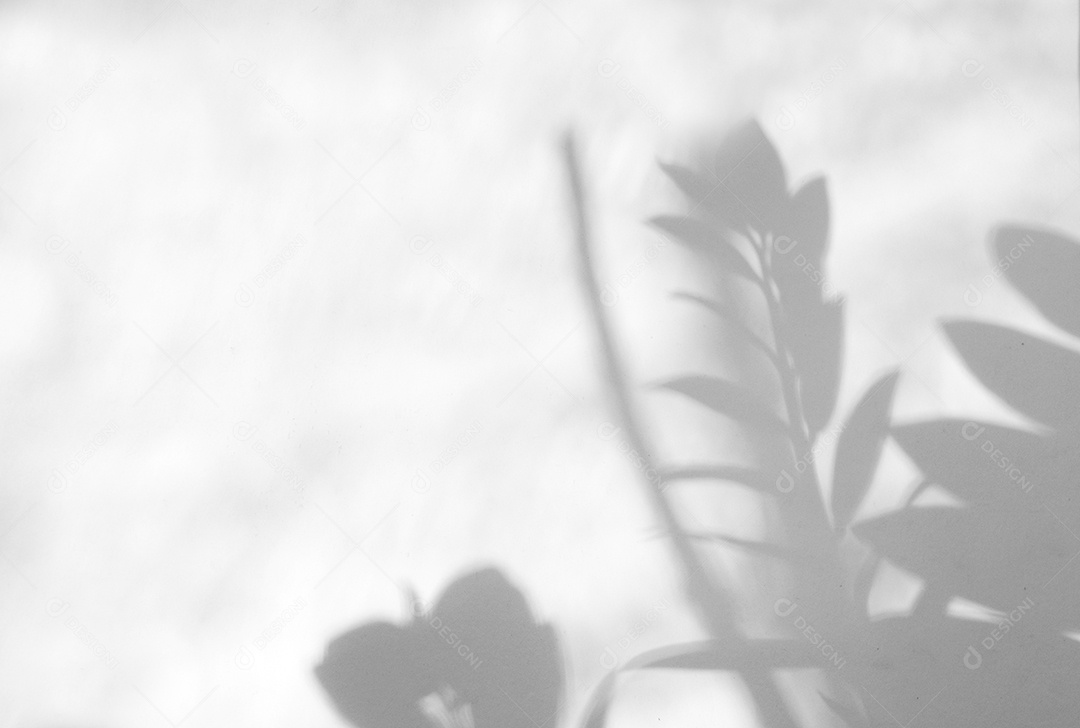 Deixa a sobreposição de sombra natural no fundo de textura branca