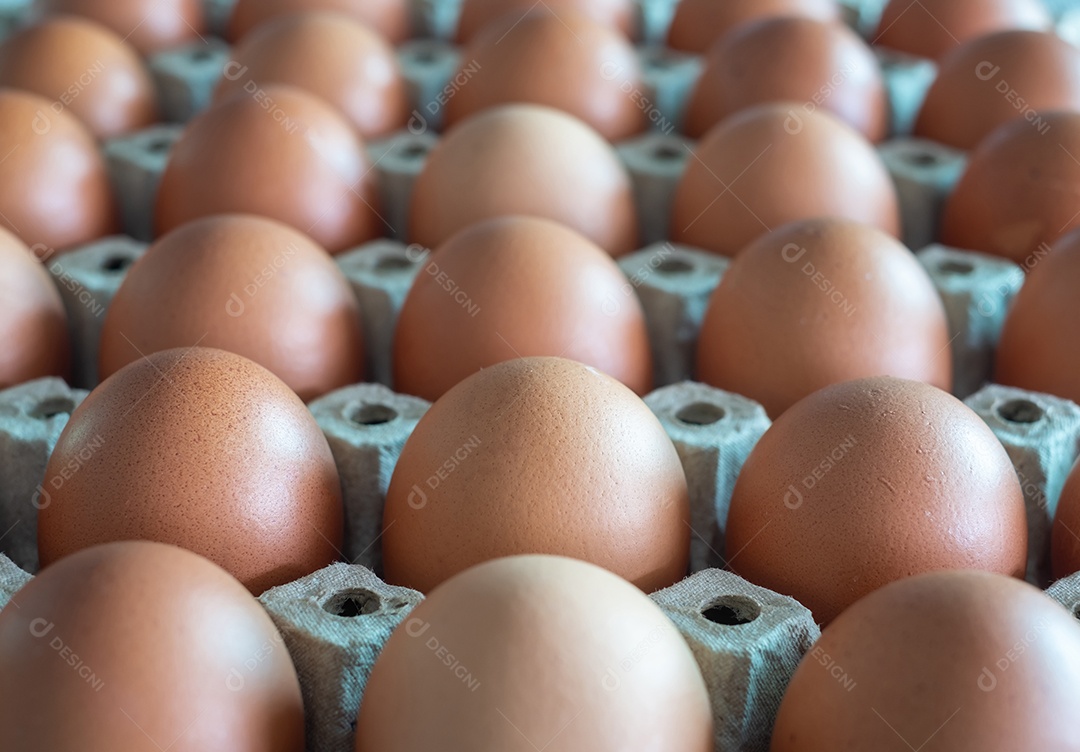 Ovos de galinha crus em embalagem cartonada.