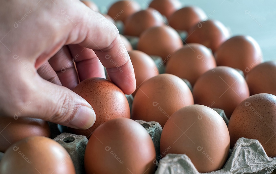 Mão segurando ovos de galinha crua em embalagem cartonada.