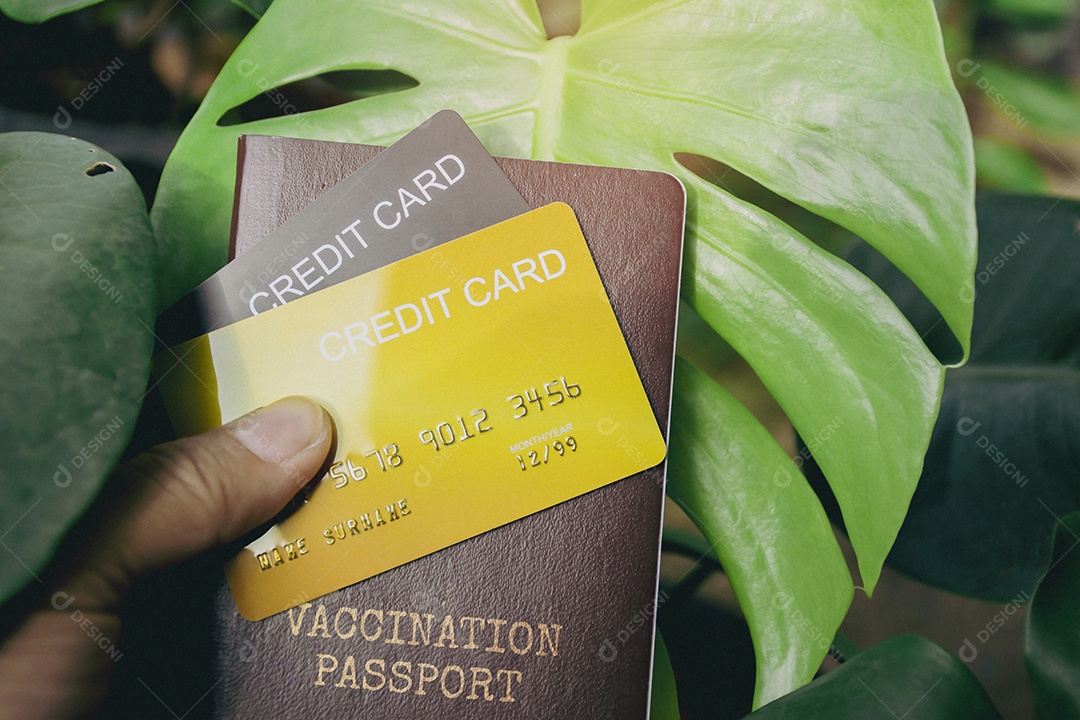 Cartão de crédito e passaporte de vacinação para viagens internacionais