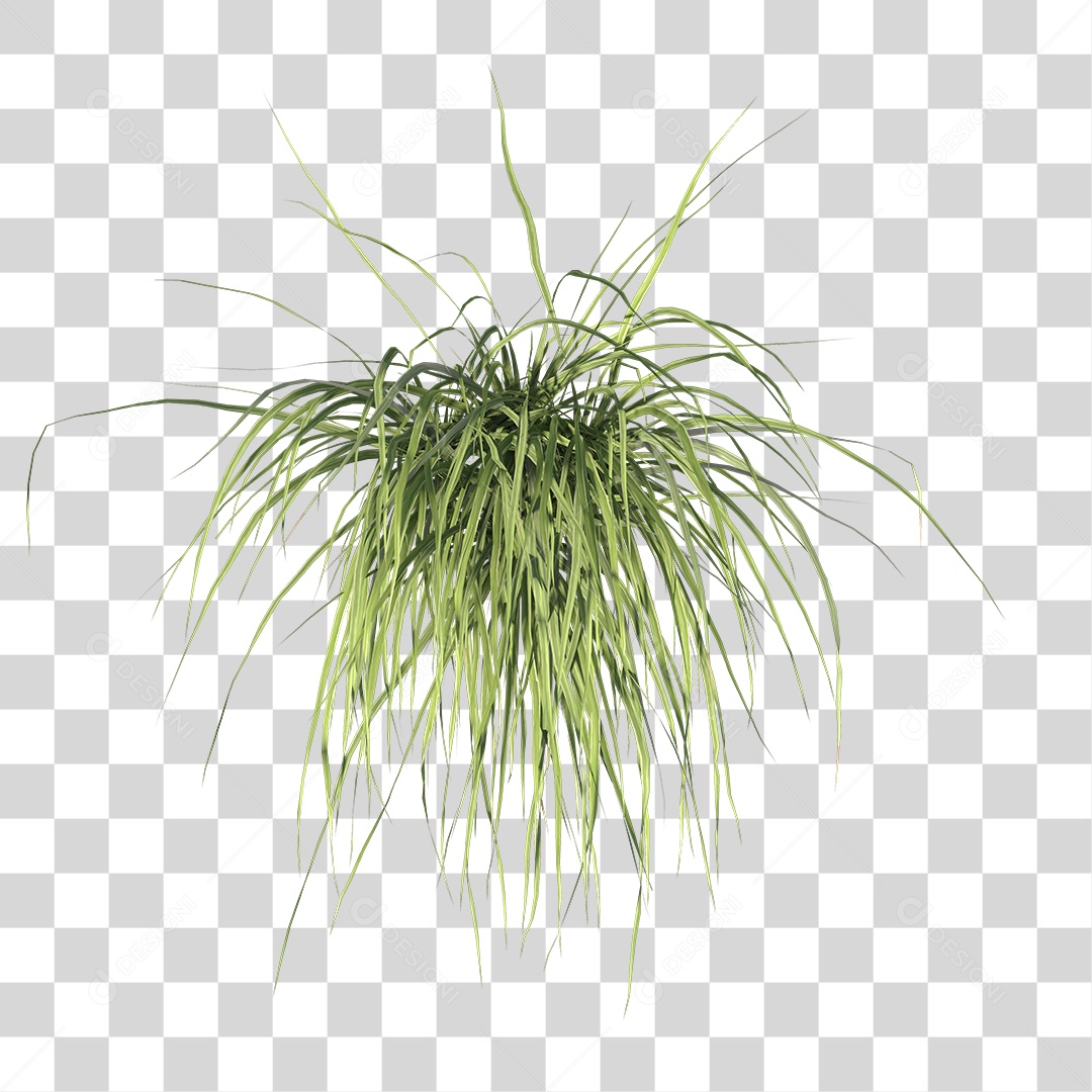 Planta Arbusto PNG Transparente