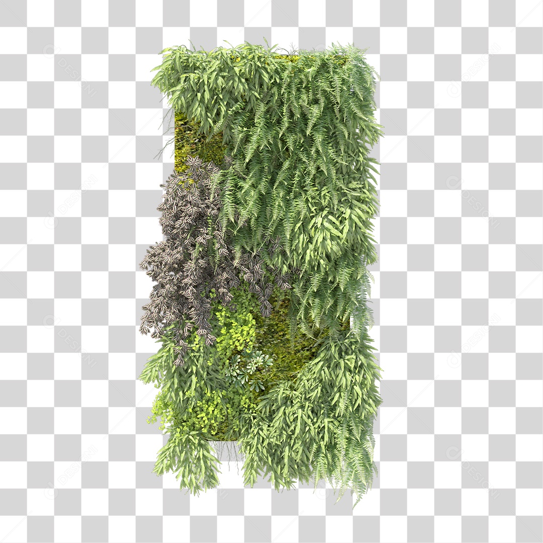 Parede com Varias Plantas PNG Transparente