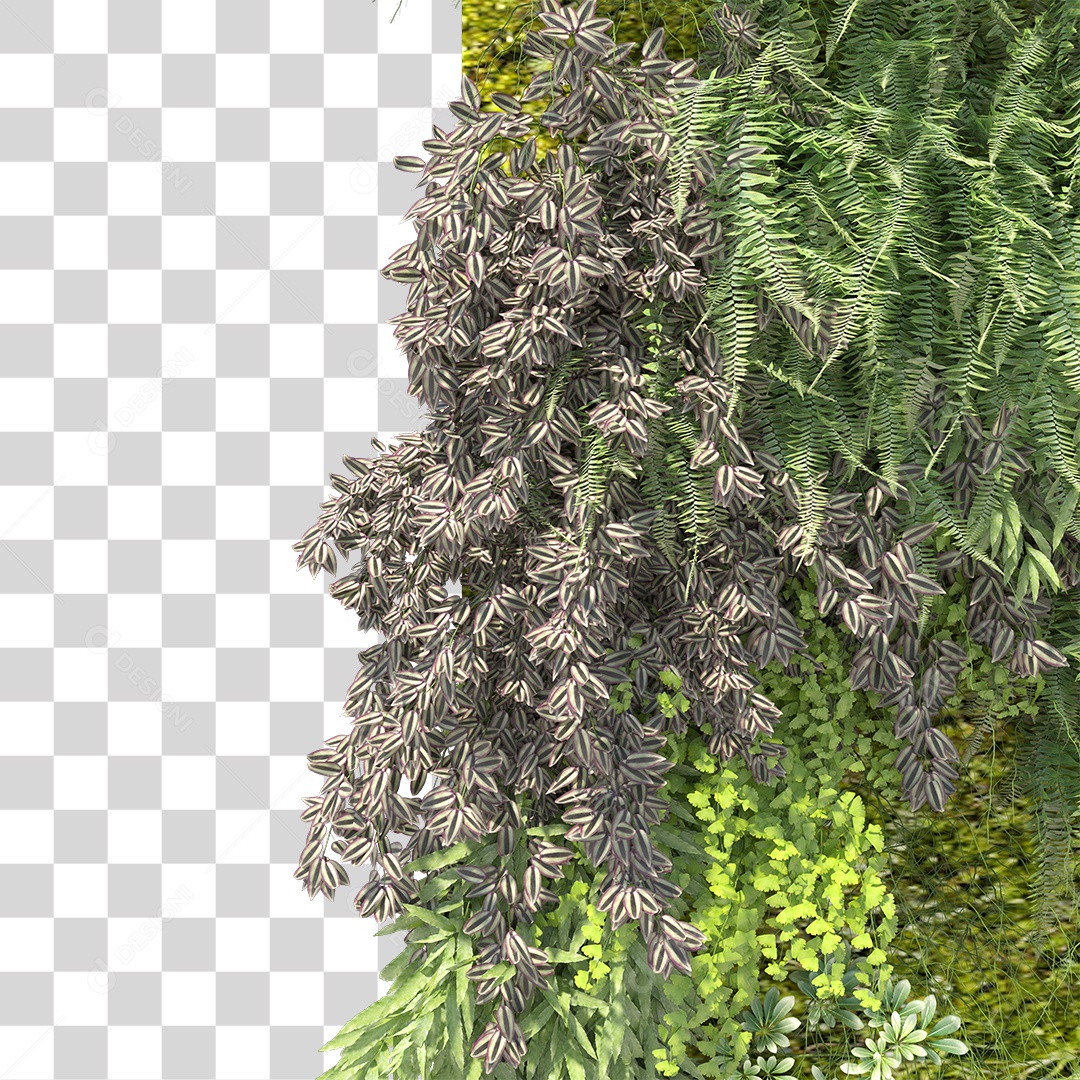 Parede com Varias Plantas PNG Transparente