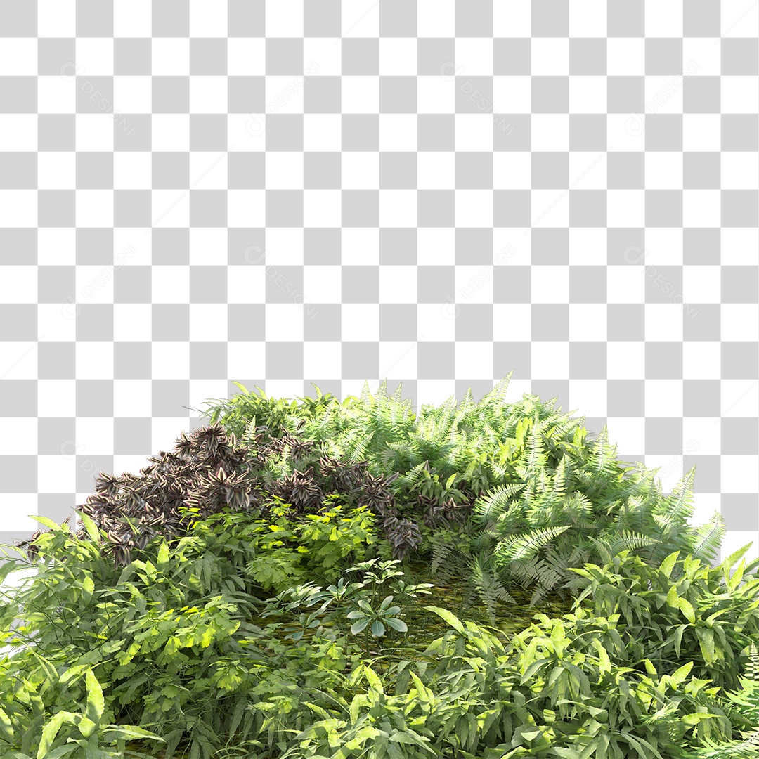 Parede com Varias Plantas PNG Transparente