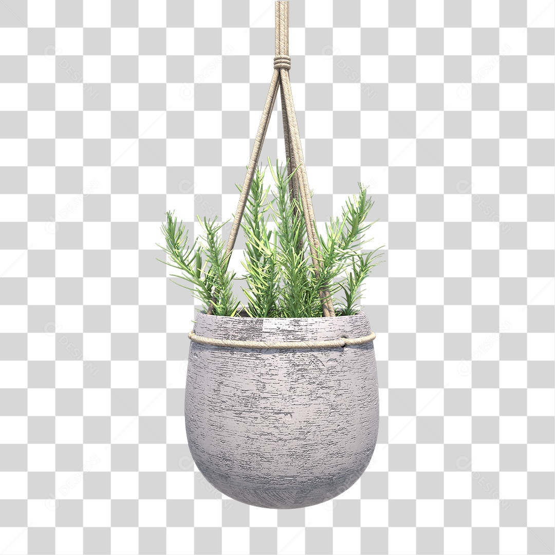 Vaso com Planta PNG Transparente