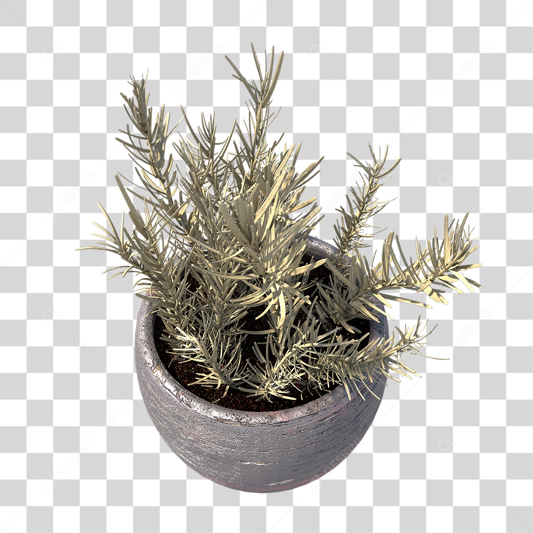 Vaso com Planta PNG Transparente