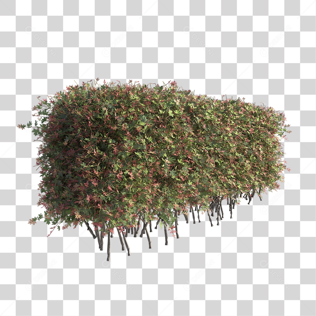 Planta Arbusto PNG Transparente