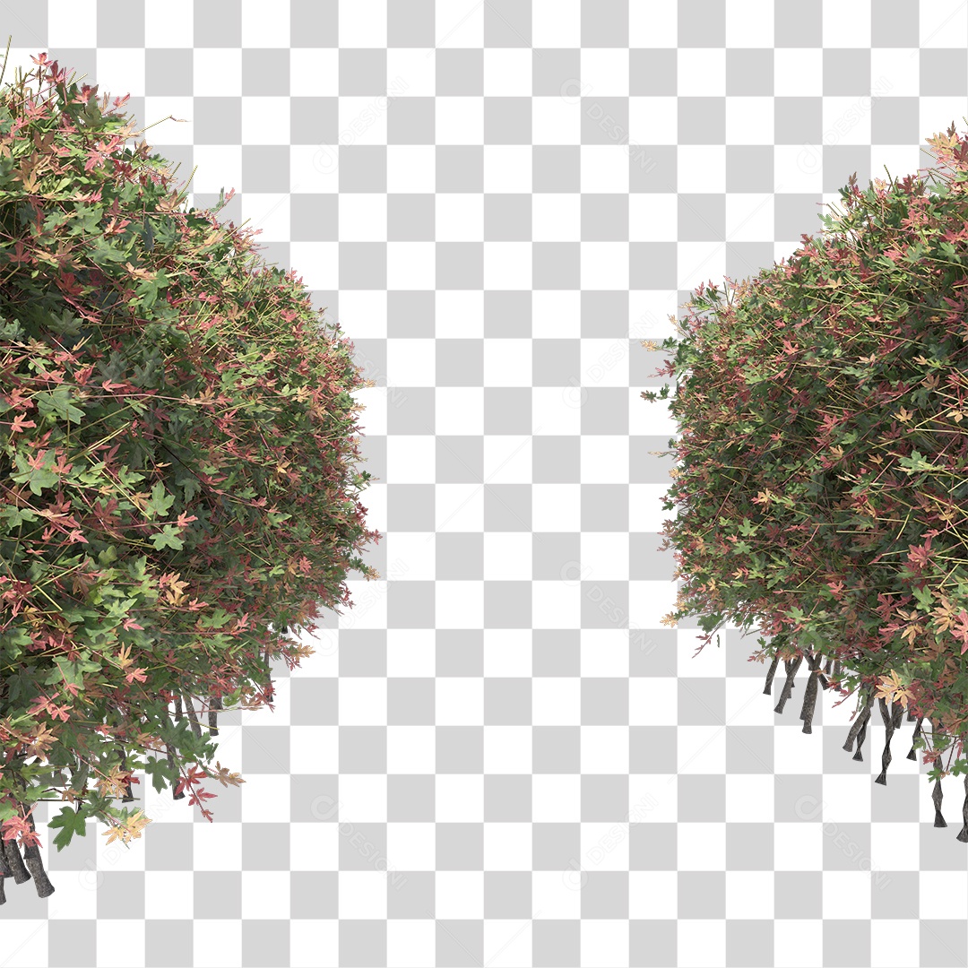 Passarela de Arbusto PNG Transparente