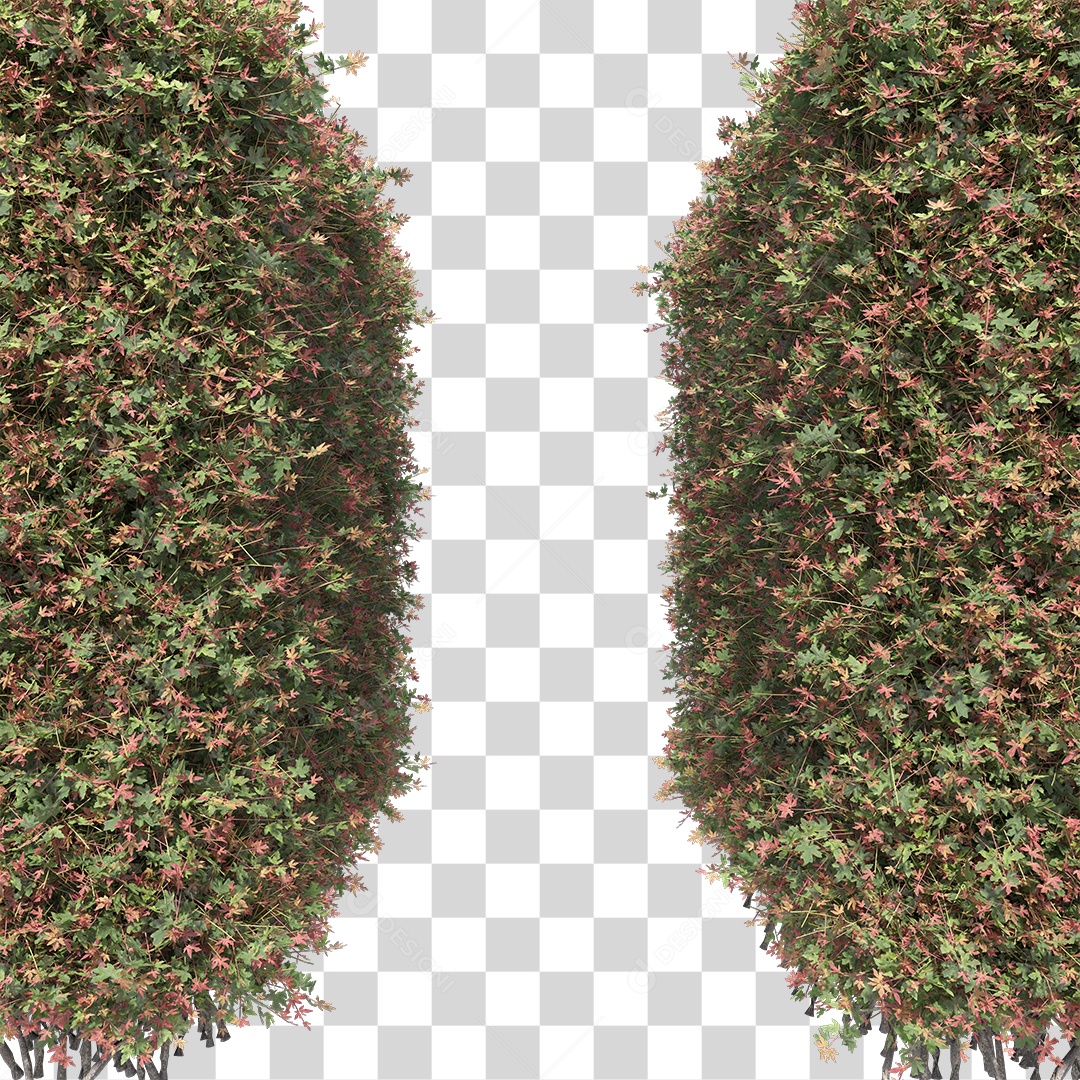 Passarela de Arbusto PNG Transparente