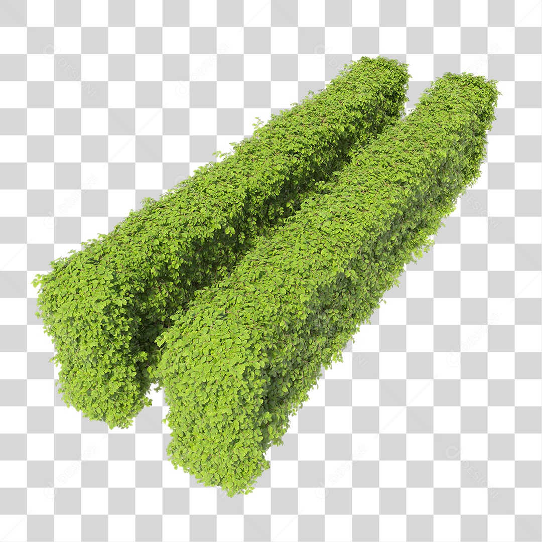 Passarela de Arbusto PNG Transparente