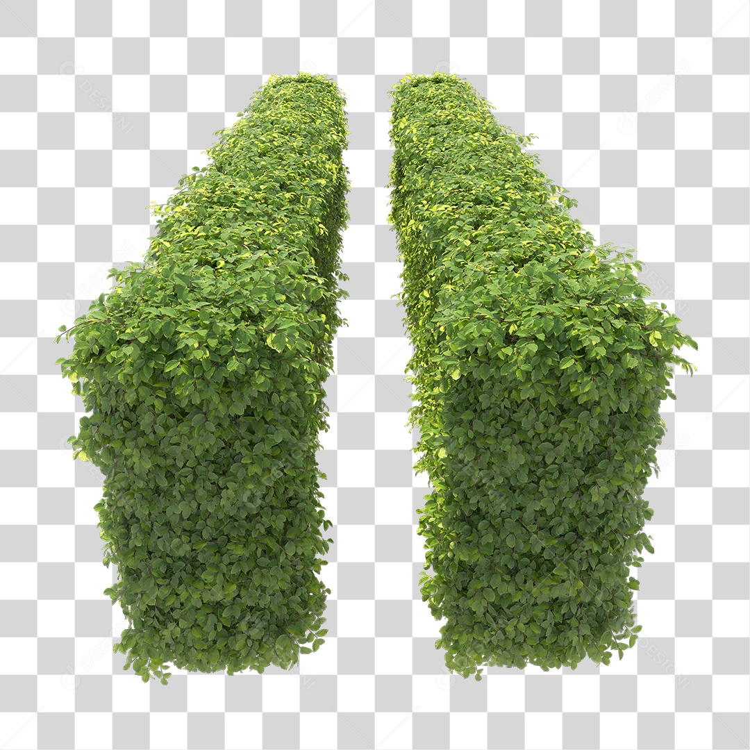 Passarela de Arbusto PNG Transparente