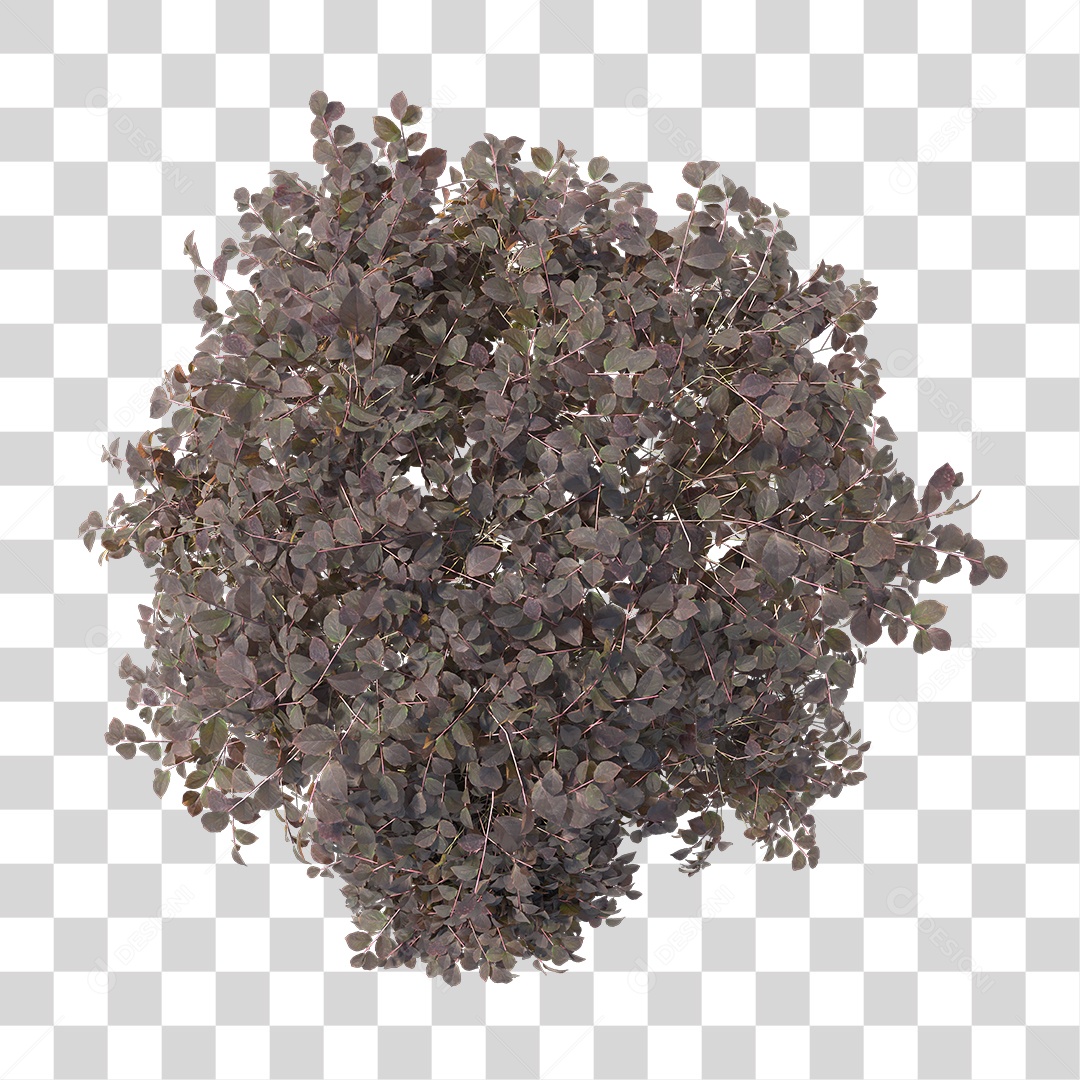 Arbusto de Folhas PNG Transparente