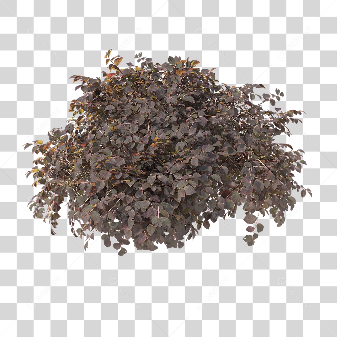 Arbusto de Folhas PNG Transparente