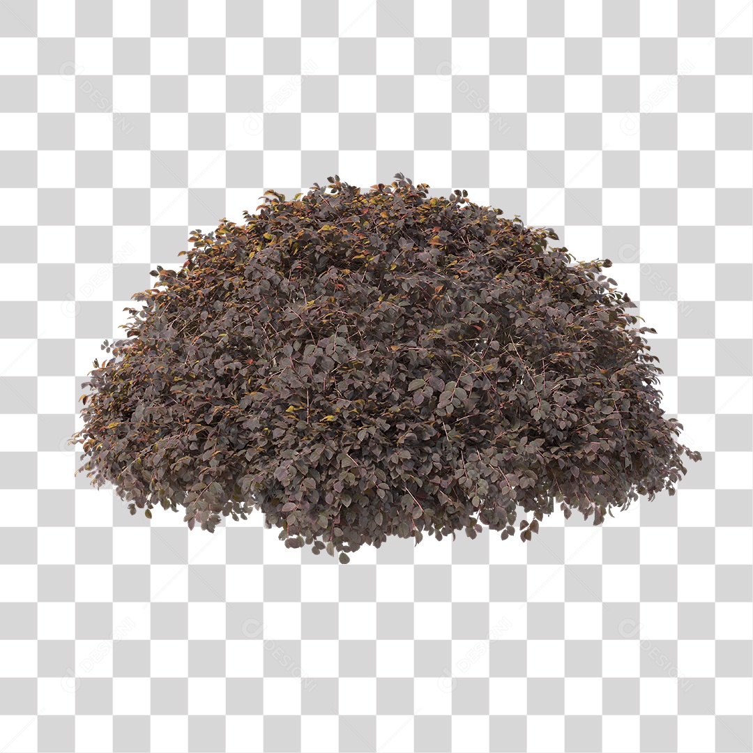 Arbusto de Folhas PNG Transparente