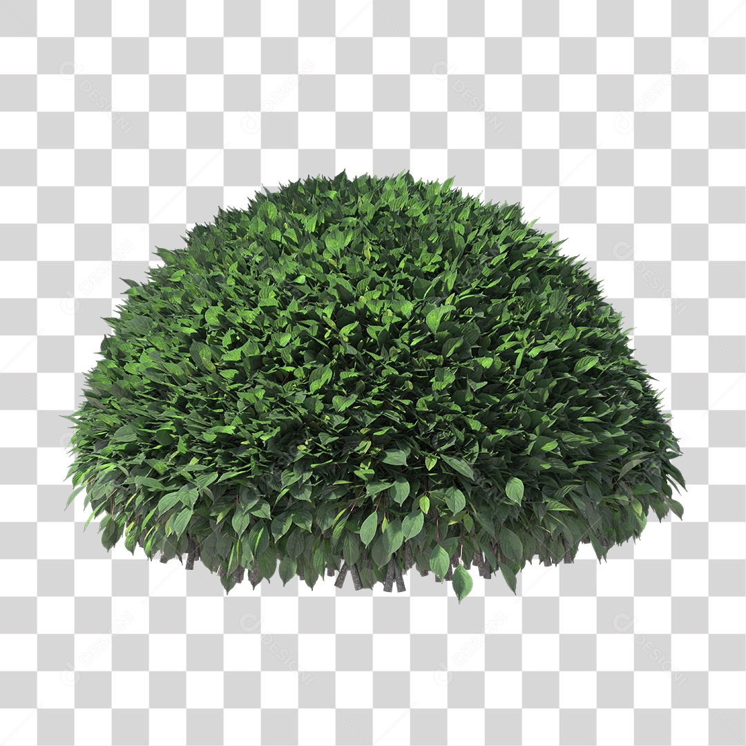 Arbusto de Folhas PNG Transparente
