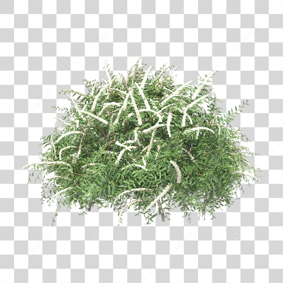 Planta Arbusto PNG Transparente