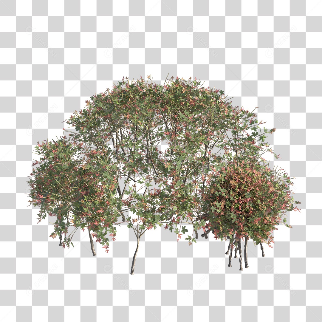 Árvore de Folha Verde Planta PNG Transparente