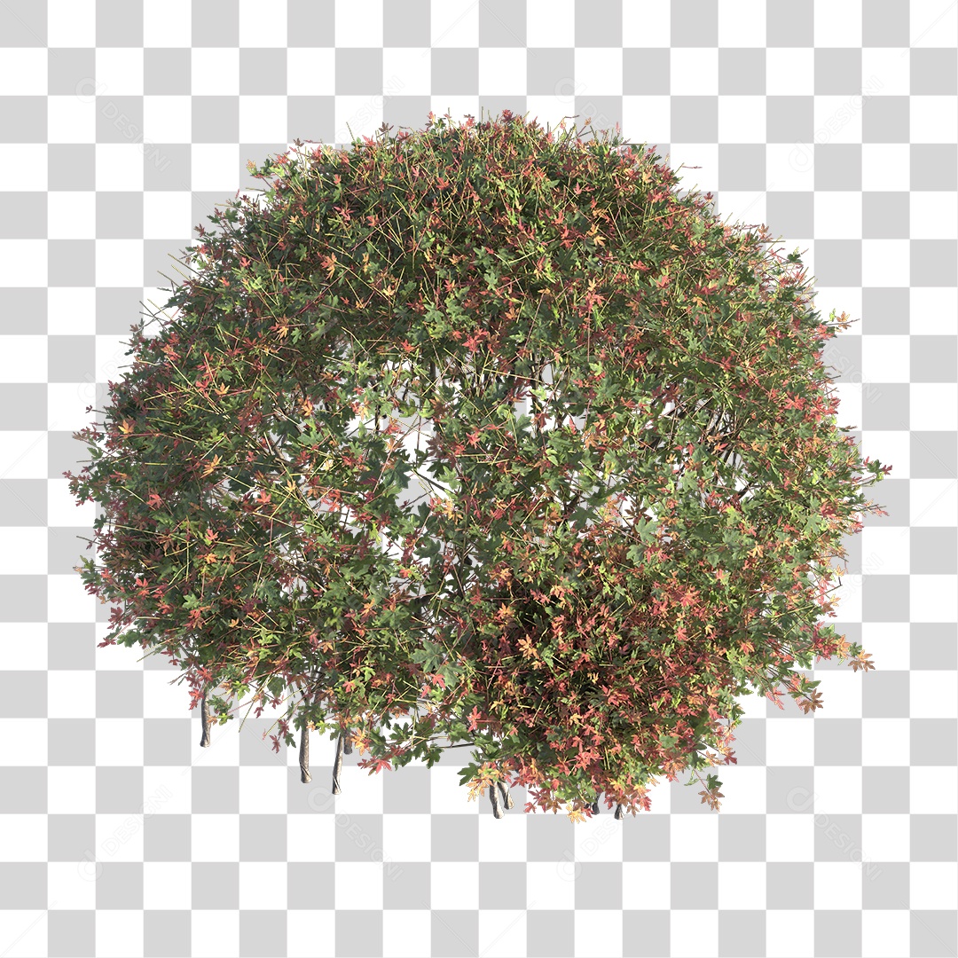 Planta Arbusto PNG Transparente