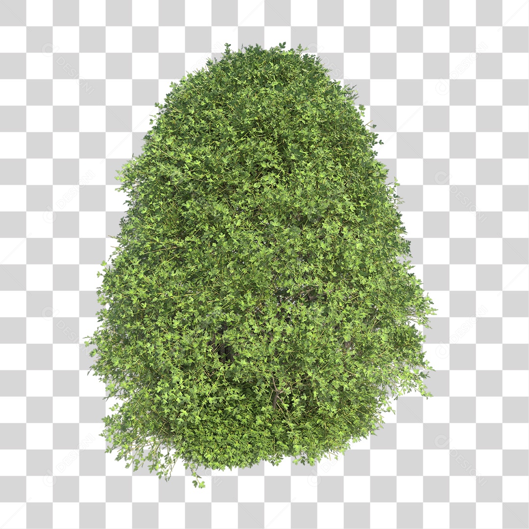 Planta Arbusto PNG Transparente