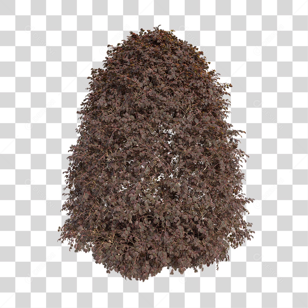 Planta Arbusto PNG Transparente