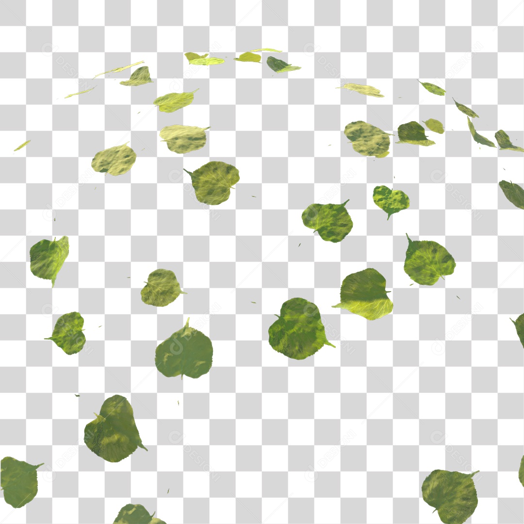 Varias Folhas PNG Transparente