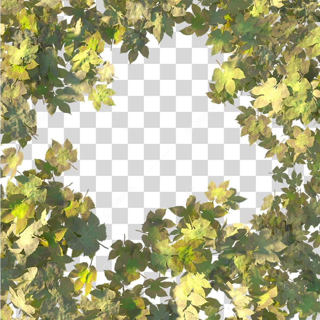 Varias Folhas PNG Transparente
