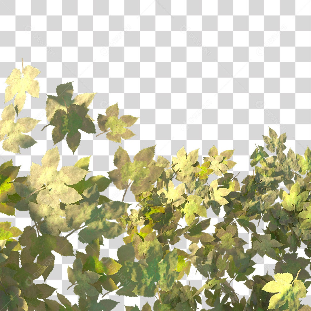 Varias Folhas PNG Transparente