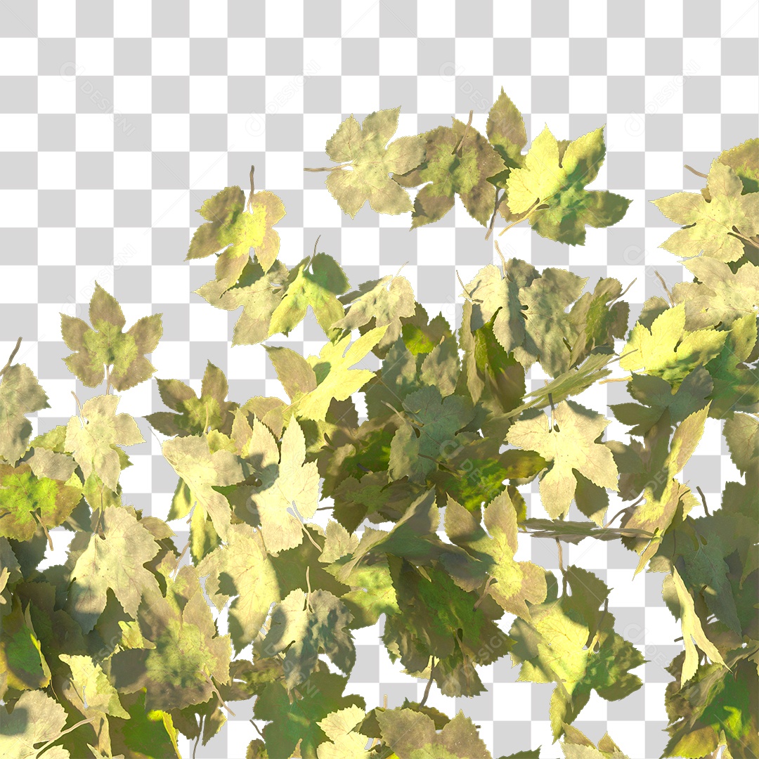 Varias Folhas PNG Transparente