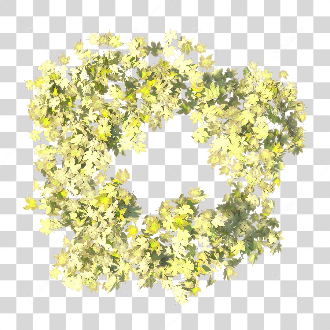 Varias Folhas PNG Transparente