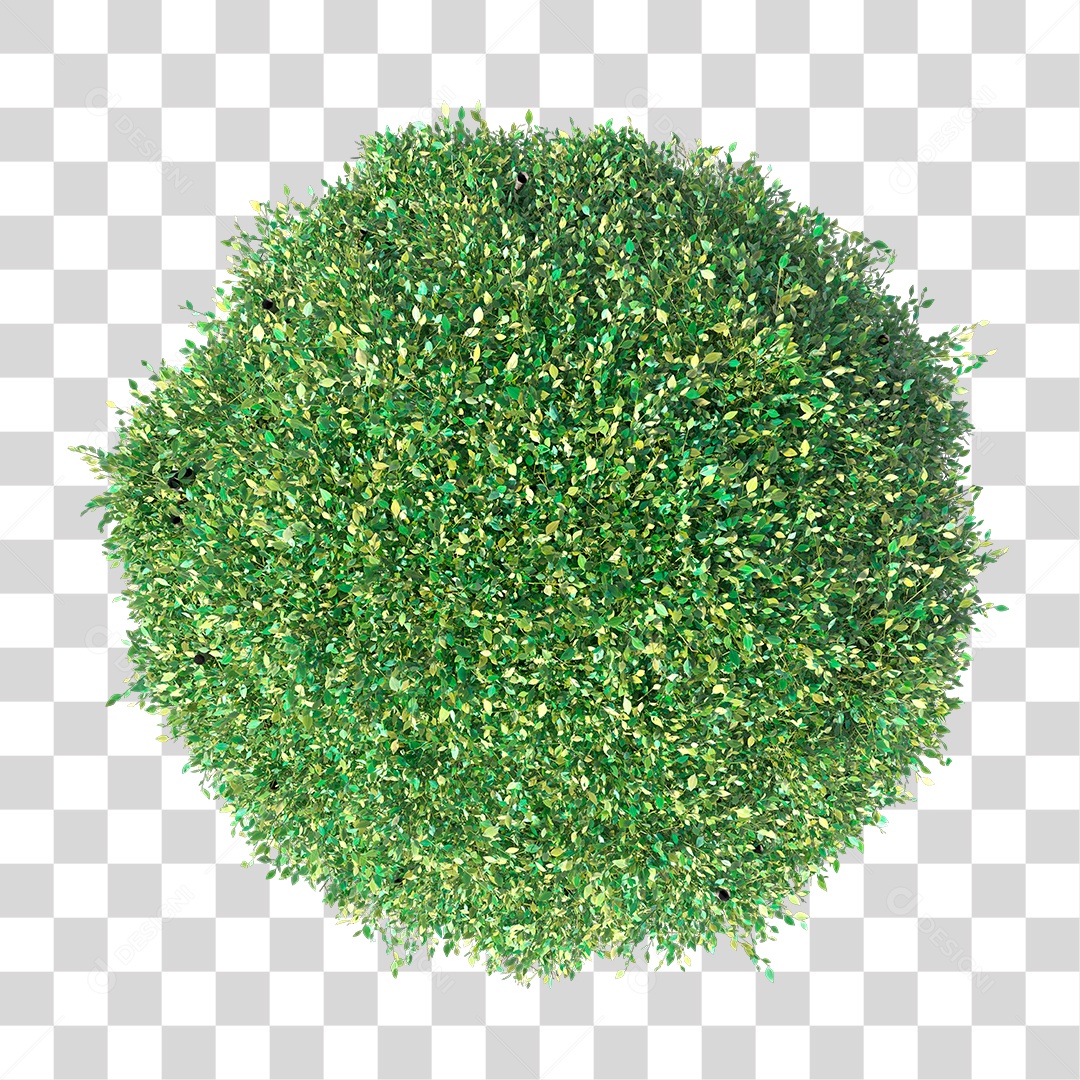 Planta Arbusto PNG Transparente