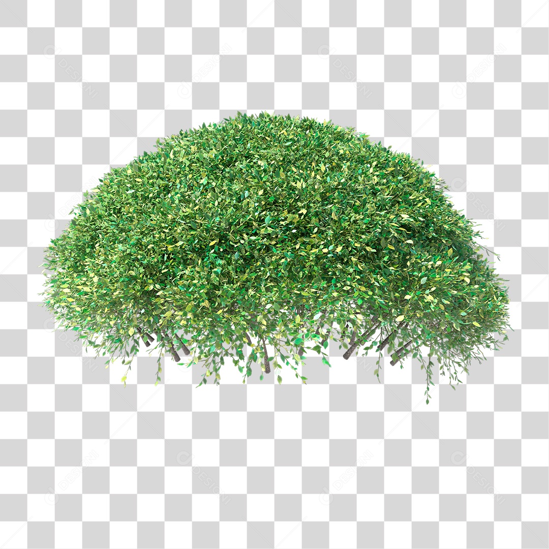 Planta Arbusto PNG Transparente