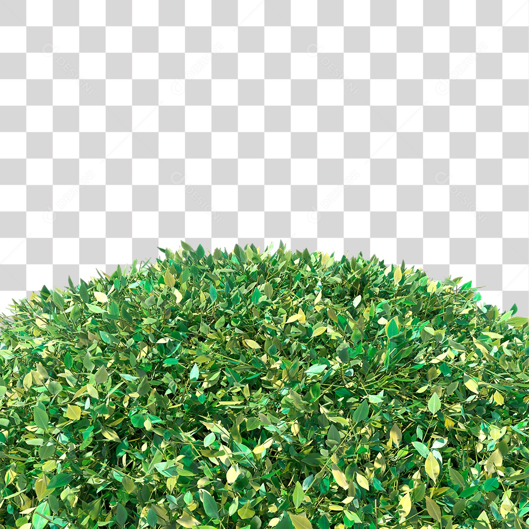 Planta Arbusto PNG Transparente