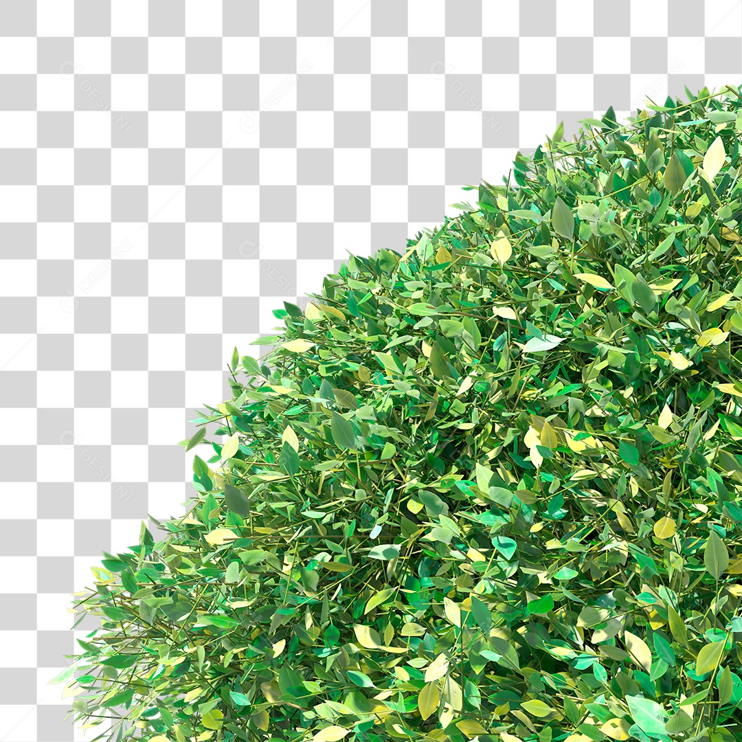 Planta Arbusto PNG Transparente