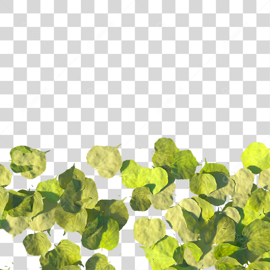 Varias Folhas PNG Transparente